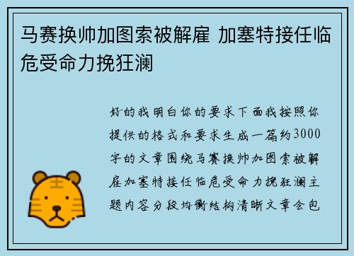 马赛换帅加图索被解雇 加塞特接任临危受命力挽狂澜